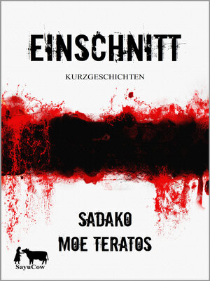 cover image of Einschnitt
